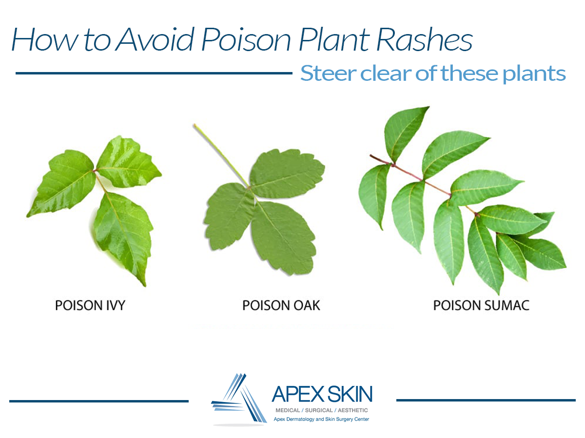 poison plants