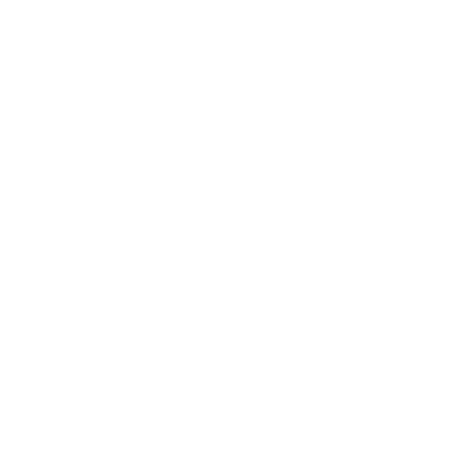 APEXSKIN Logo