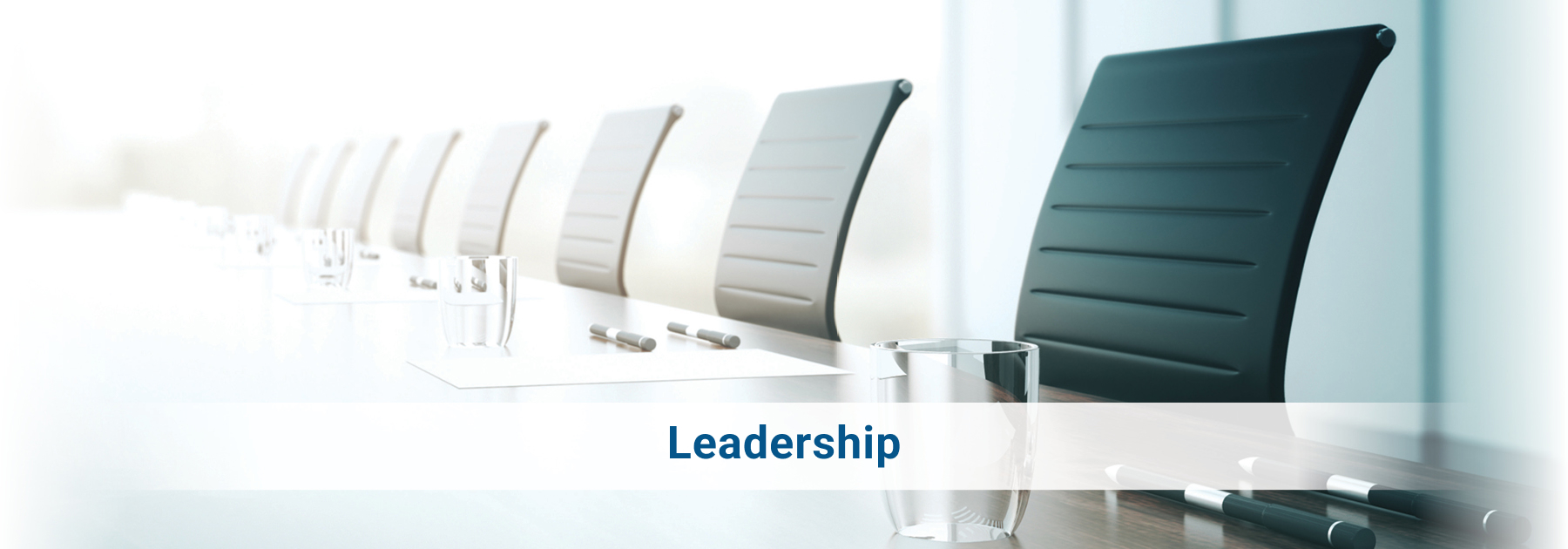 Apex Skin leadership team